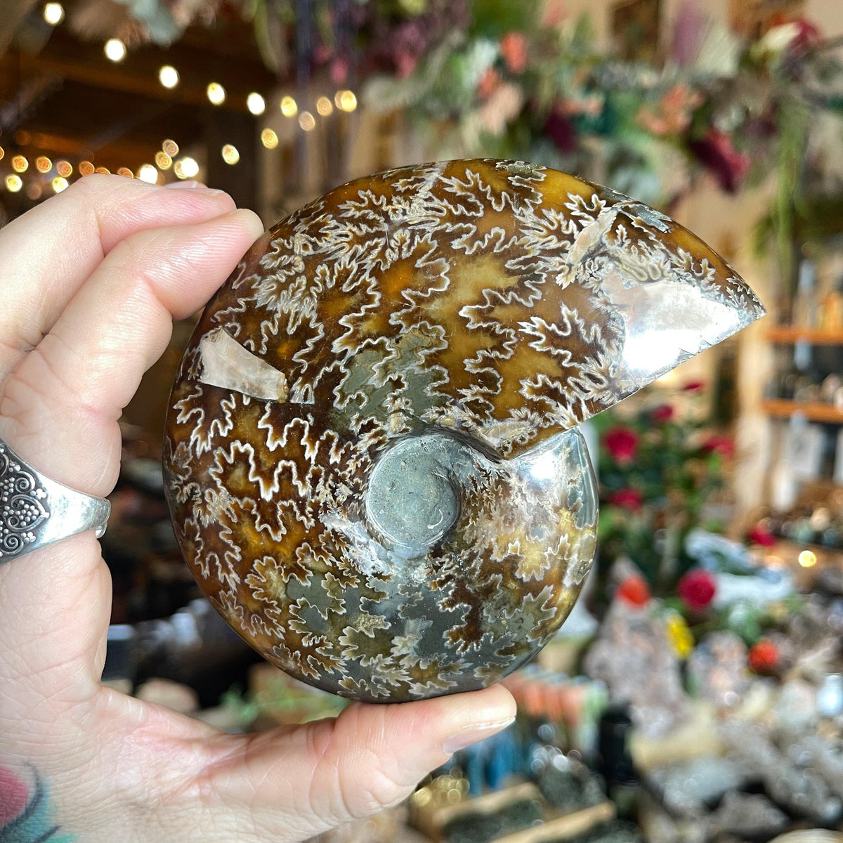 Ravenstone Crystals Ammonite &quot;Claire&quot;