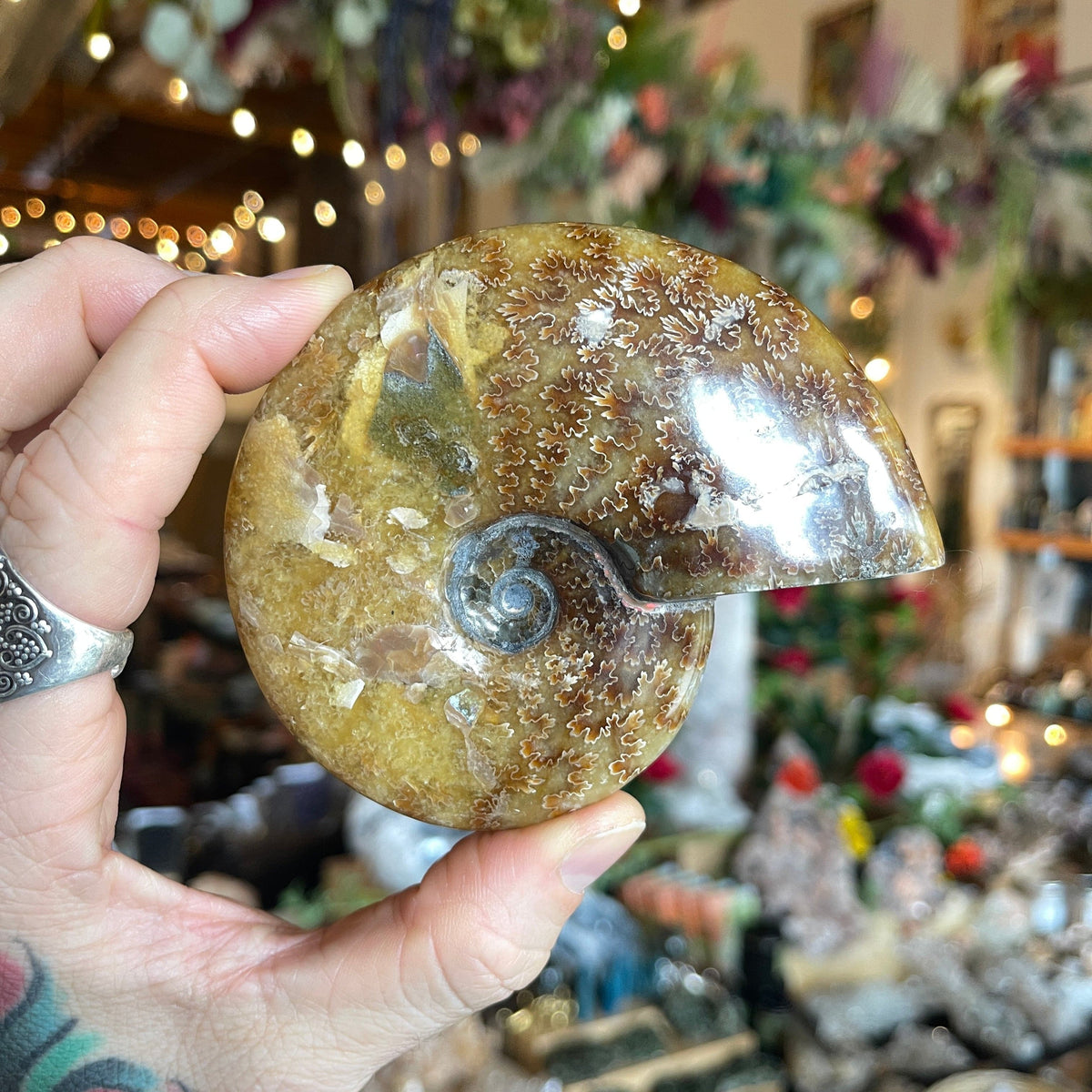 Ravenstone Crystals Ammonite &quot;Dan&quot;