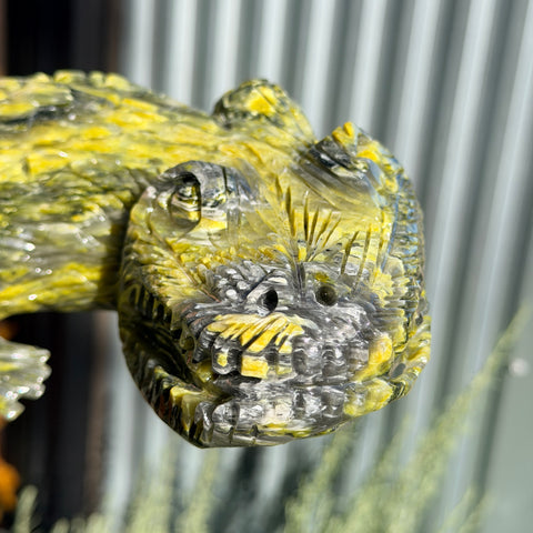 Serpentine Alligator "Vincent"