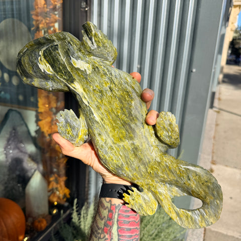 Serpentine Alligator "Vincent"