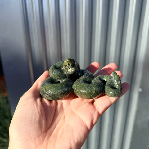 Serpentine Snake "Finlay"