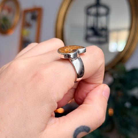 Ammonite Ring "Prudence" - Size 7