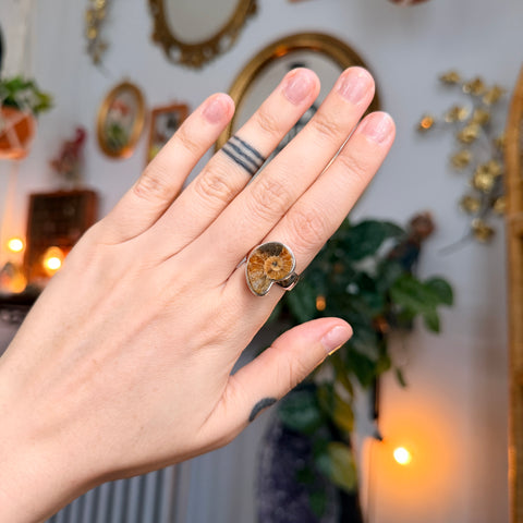 Ammonite Ring "Jenny" - Size 6.5