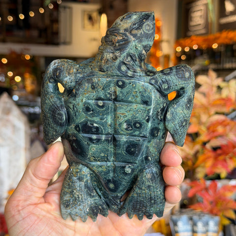 Kambaba Jasper Turtle "Victor"