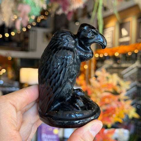 Obsidian Vulture "Sawyer"