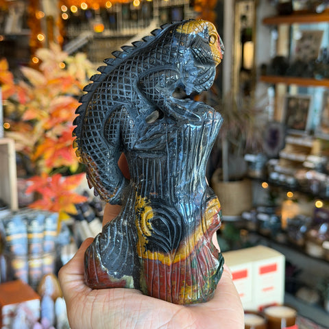 India Agate Lizard "Winston"