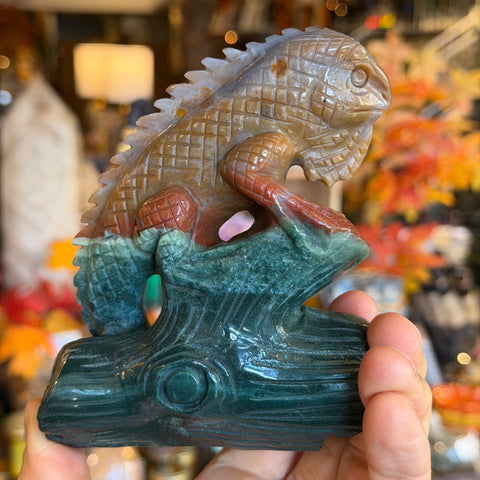 Ocean Jasper Lizard "Matthias"