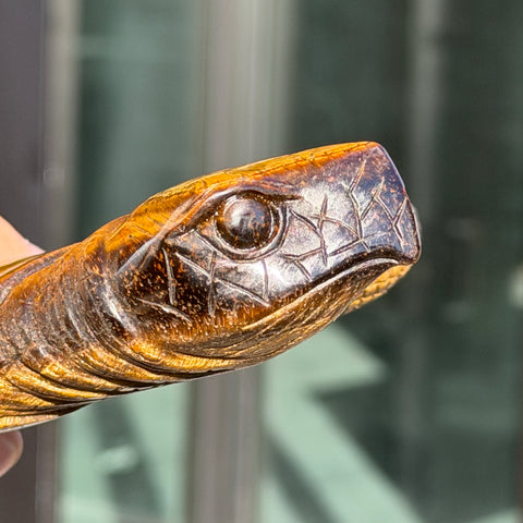 Tiger's Eye Turtle "Lana"