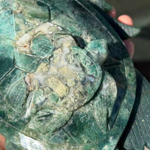 Moss Agate Turtles "Aphrodite & Harmonia"