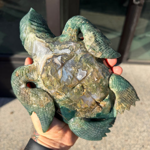 Moss Agate Turtles "Aphrodite & Harmonia"