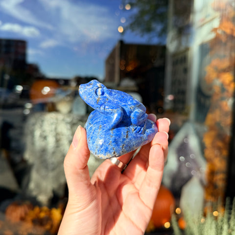 Lapis Lazuli Frog "Lucas"