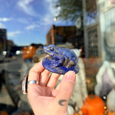 Lapis Lazuli Frog "William"