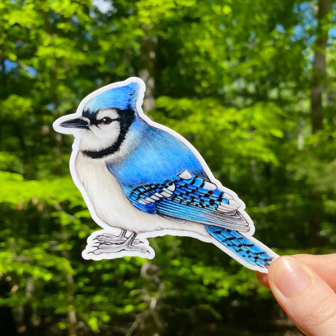 Allison Stoiser Art Blue Jay Sticker