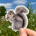 Allison Stoiser Art Gray Squirrel Sticker