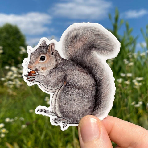 Allison Stoiser Art Gray Squirrel Sticker