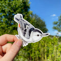 Allison Stoiser Art Nuthatch Sticker
