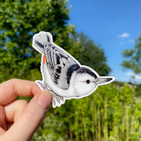 Allison Stoiser Art Nuthatch Sticker