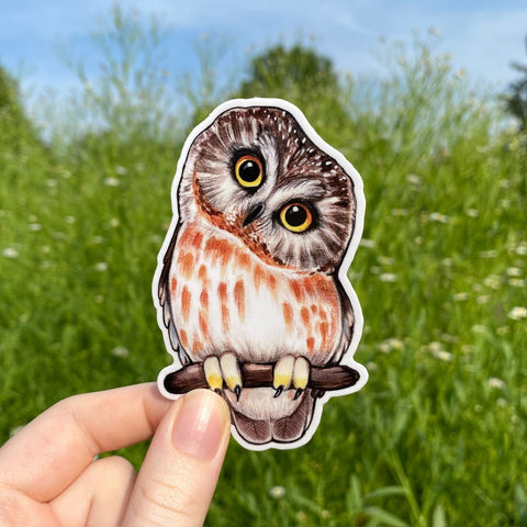 Allison Stoiser Art Saw-Whet Owl Sticker