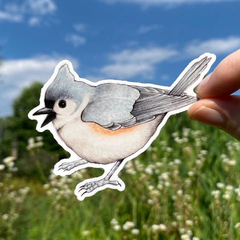Allison Stoiser Art Tufted Titmouse Sticker