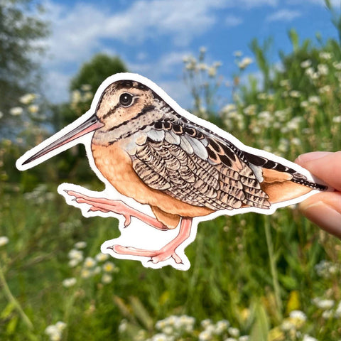 Allison Stoiser Art Woodcock Sticker