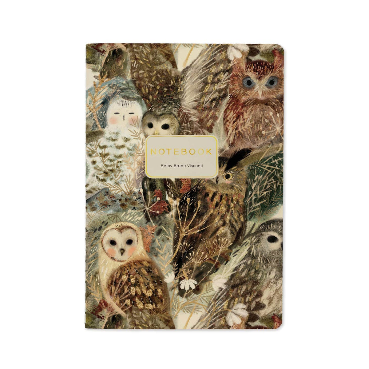 BV by Bruno Visconti Owls Notebook