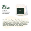Calyan Wax Co. Fir + Clove Double Wick Soy Candle