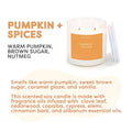 Calyan Wax Co. Pumpkin + Spices Double Wick Soy Candle