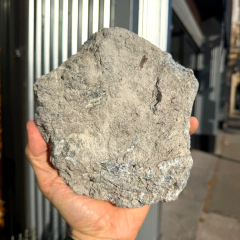 Celestite "David"