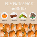 Center Street Soap Co Pumpkin Spice Soap Bar