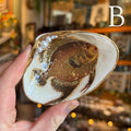 Eleanora Soroca B Footed Decoupage Shell Dish | Fish