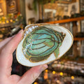 Eleanora Soroca Footed Decoupage Shell Dish | Fish