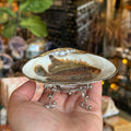 Eleanora Soroca Footed Decoupage Shell Dish | Fish