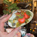 Eleanora Soroca Footed Decoupage Shell Dish | Fruit