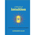 Hachette Book Group A Little Bit of Intuition
