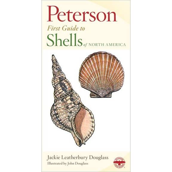 Peterson First Guide To Shells of North America – Ravenstone