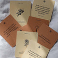 Intelligent Change Gratitude Reminders Quote Cards