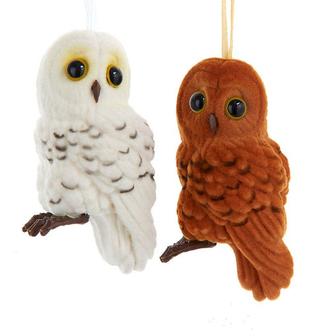 Kurt S. Adler, Inc. Cute Owl Ornament
