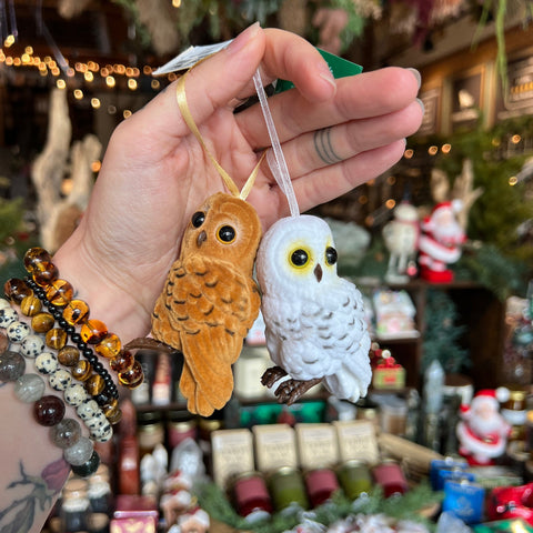 Kurt S. Adler, Inc. Cute Owl Ornament