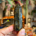 Labradorite "Paul"