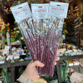 NAI Dragon's Blood + Frankincense Resin Sticks