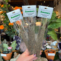 NAI Rosemary Resin Incense Sticks