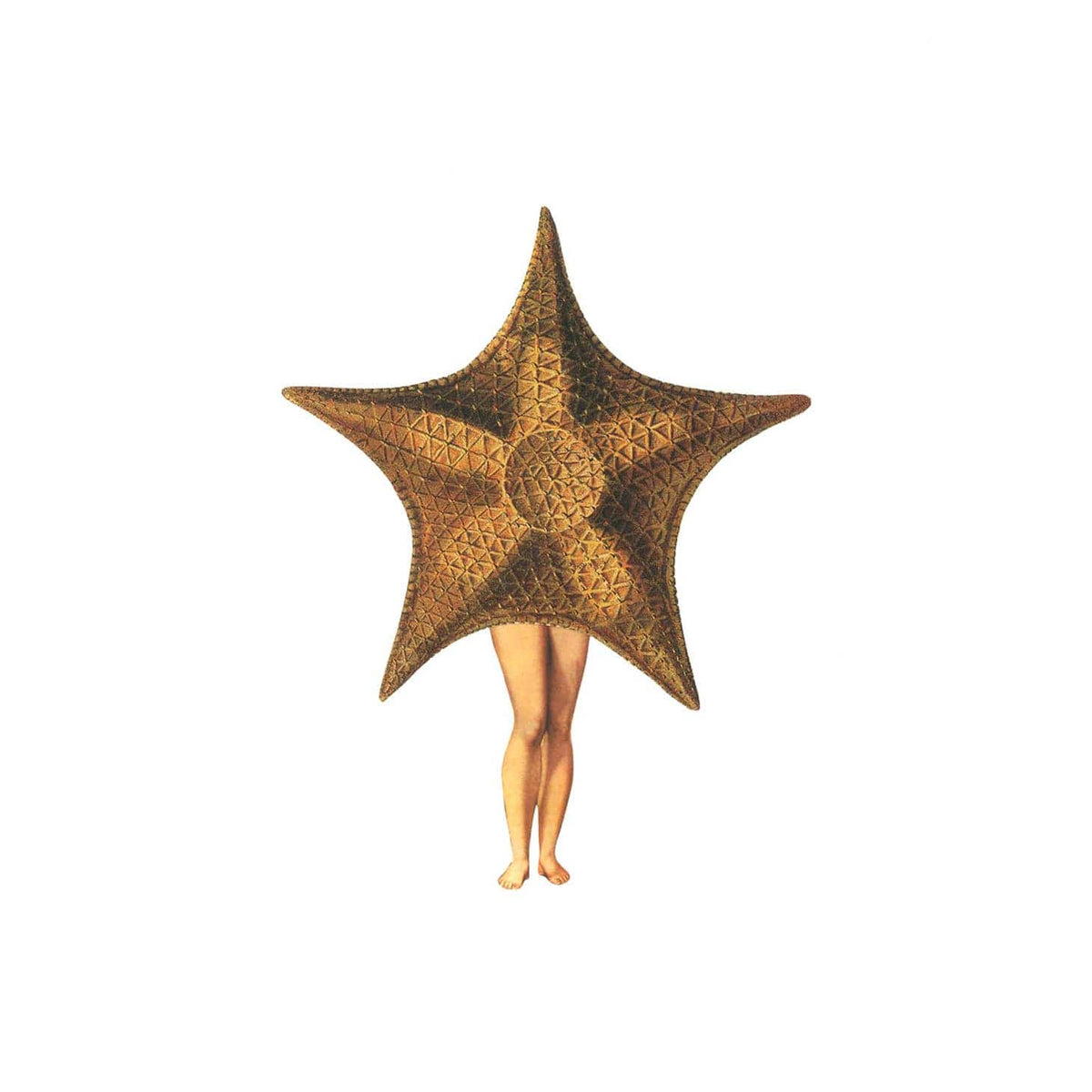 Nature Morph Starfish Print