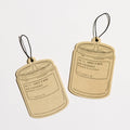 P.F. Candle Co Amber & Moss Air Freshener