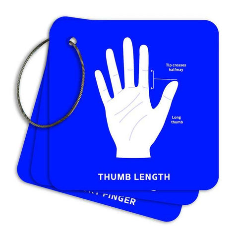 Penguin Random House Palmistry Flashcards