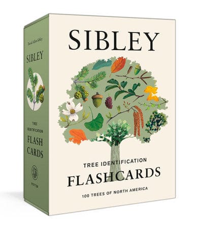 Penguin Random House Sibley Tree Identification Flashcards