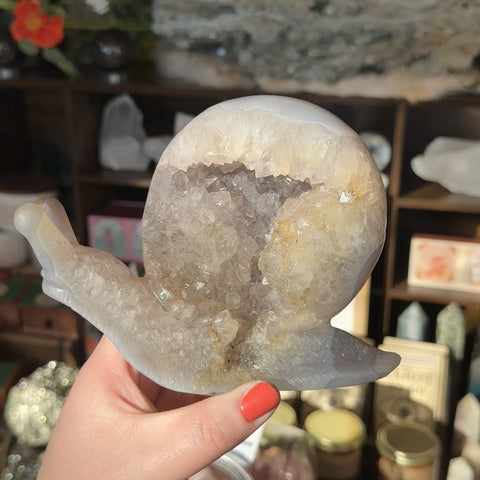 Agate Snail "Joyce"