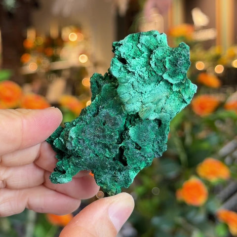 Fibrous Malachite "Alexis"