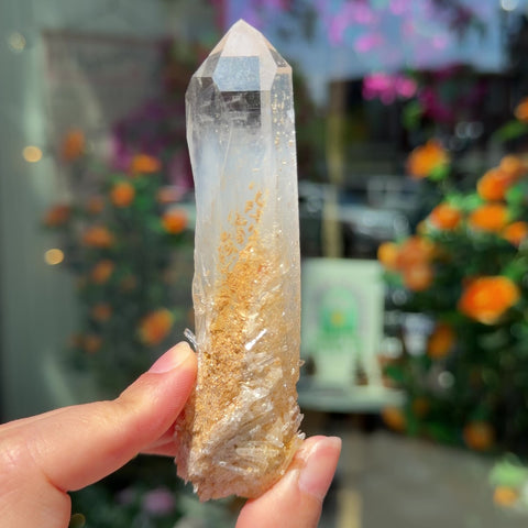 Blue Smoke Golden Healer Quartz "Brett"