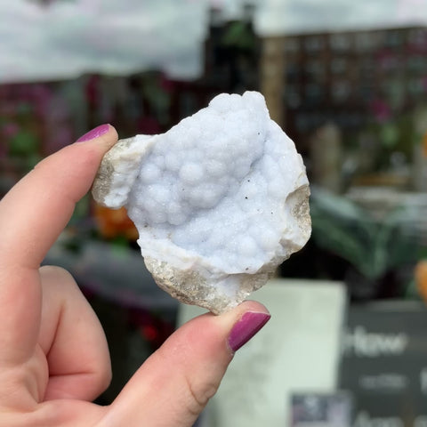 Blue Lace Agate "Rue"