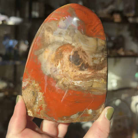 Petrified Wood "Diana"